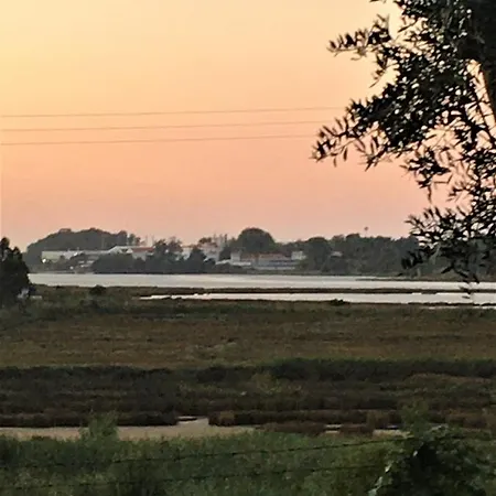 Art.lab ヴァゴス